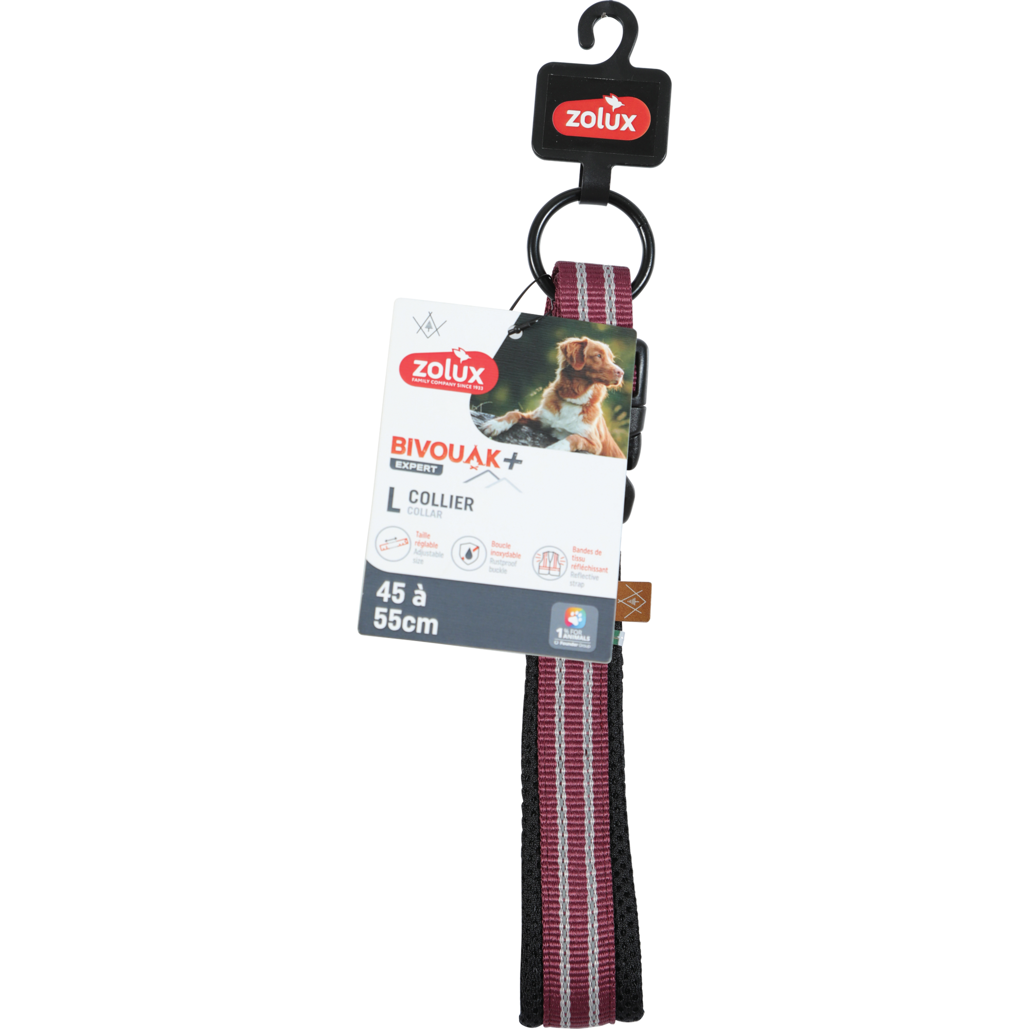BVK Collar Red, 20 mm, 45-55 cm