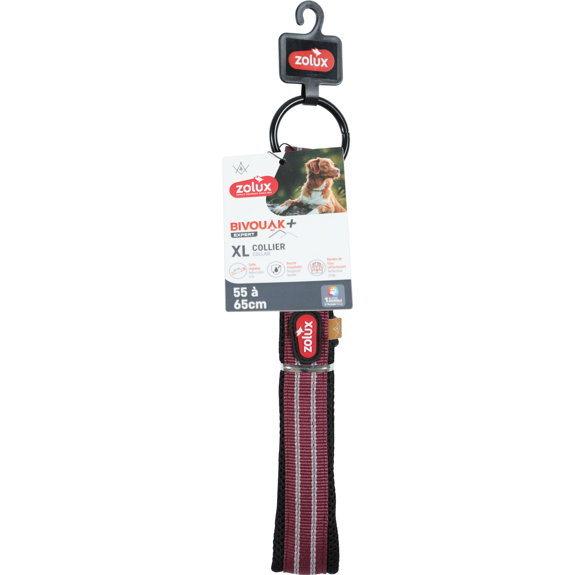 BVK Collar Red, 20 mm, 55-65 cm