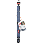 Bvk Training Lead