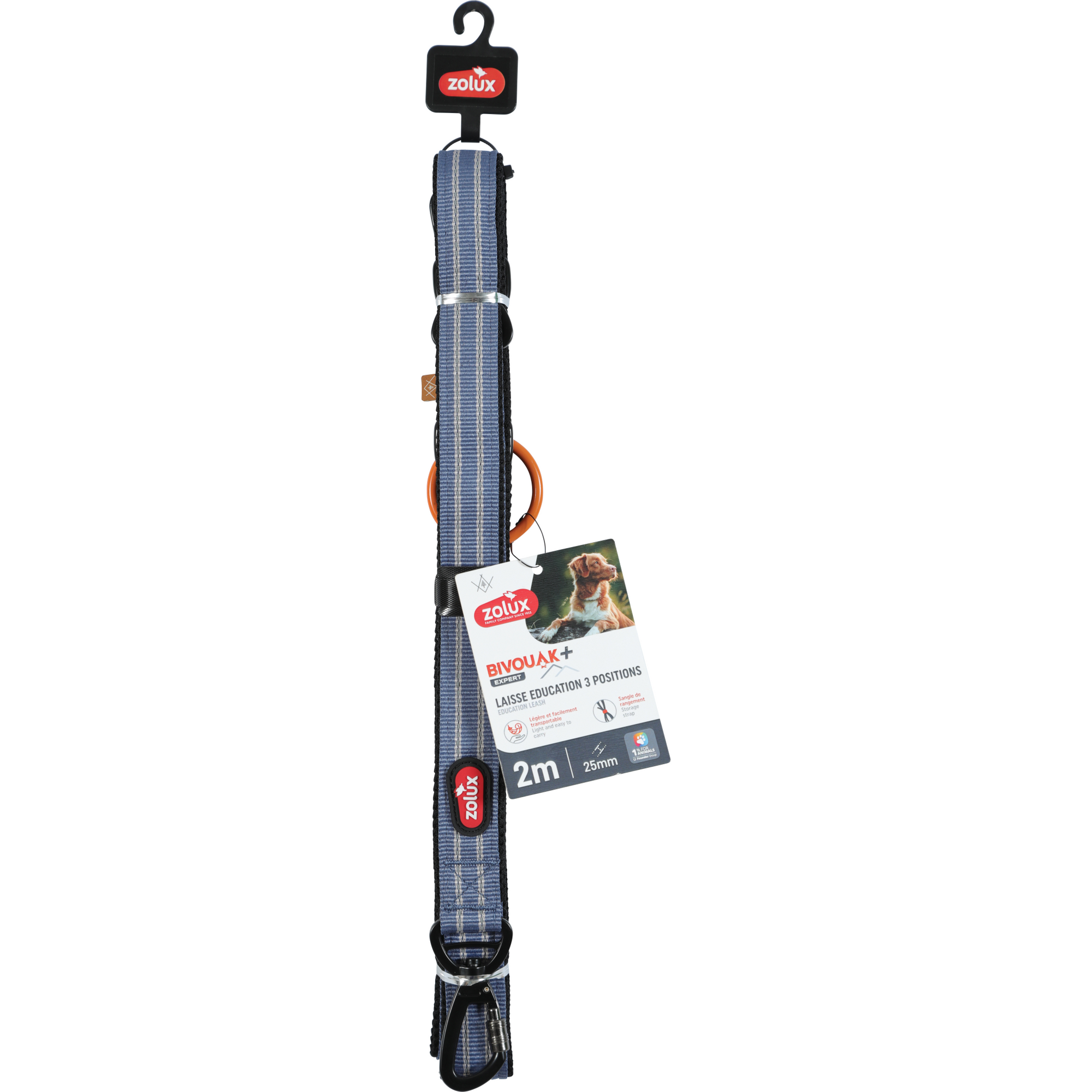 Bvk Training Lead