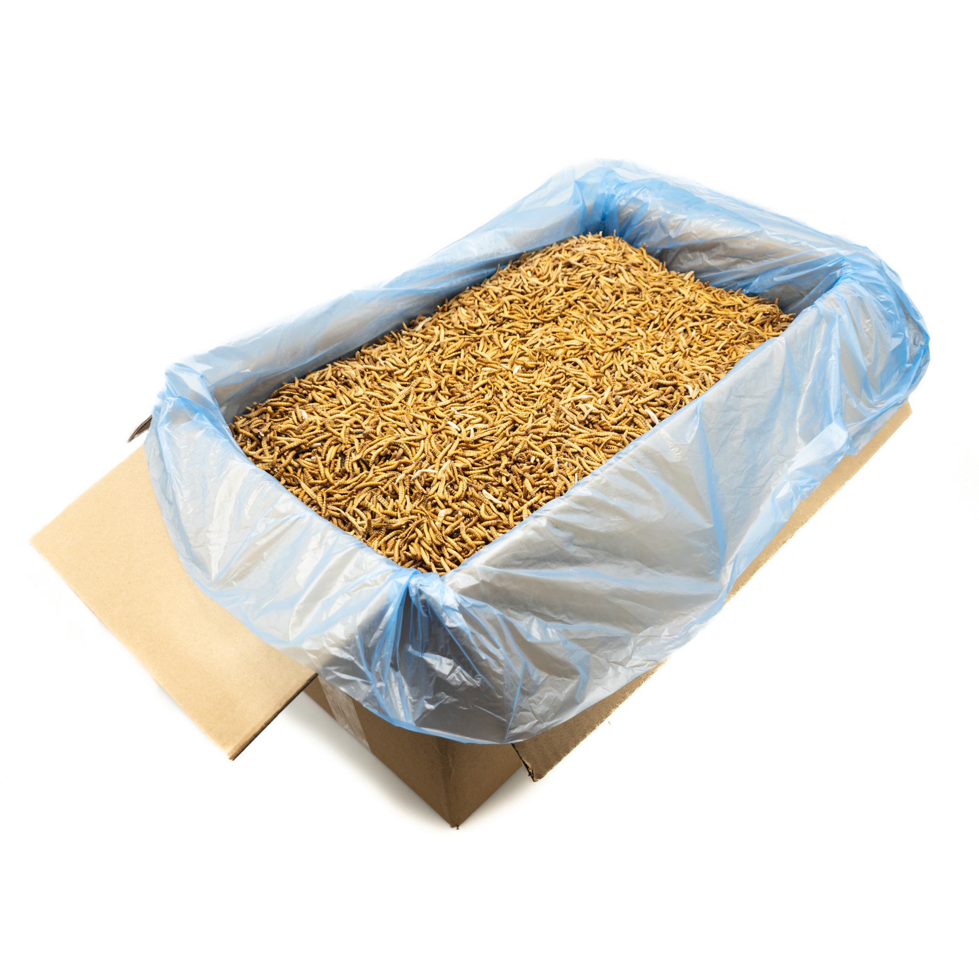 Frozen Mealworms 15 kg