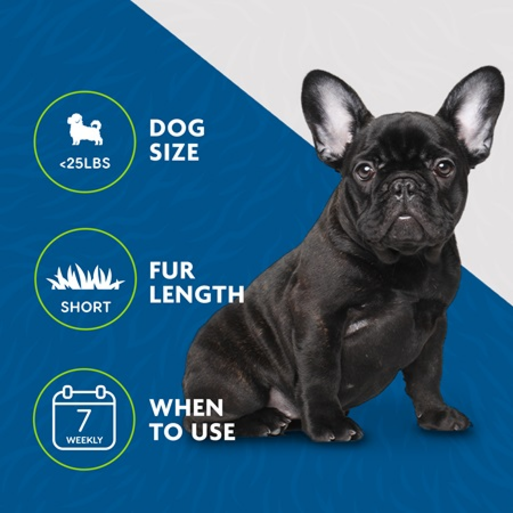FURminator Undercoat deShedding Tool – Small Dog, Short Hair