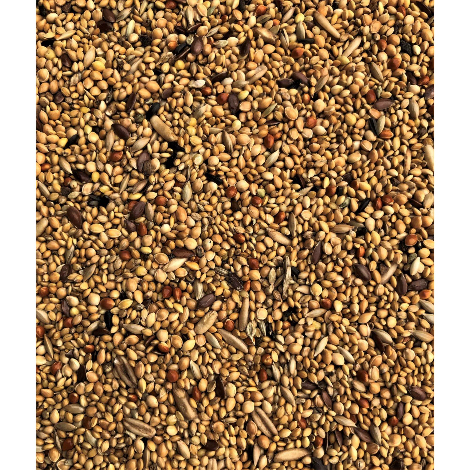 Exotic Mix 20 kg