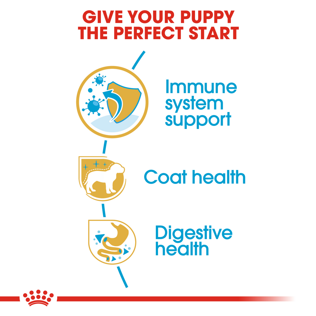 Breed Health Nutrition Poodle Puppy 3 kg