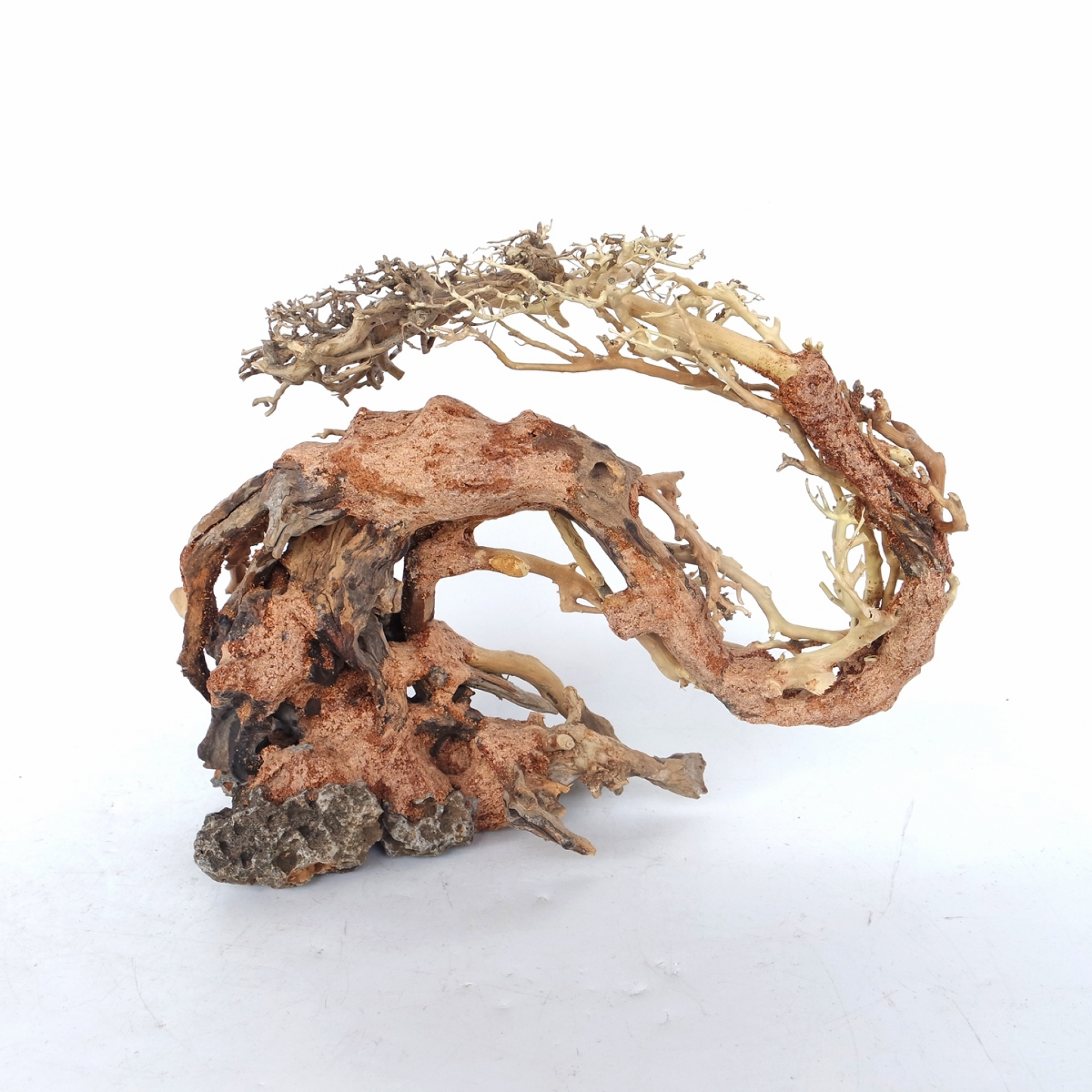 Dragon-like Wood Tree Medium, 30x23x13 cm / pc