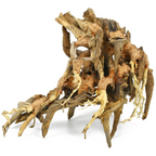 Octopus Wood Medium, 30x23x15 cm / pc