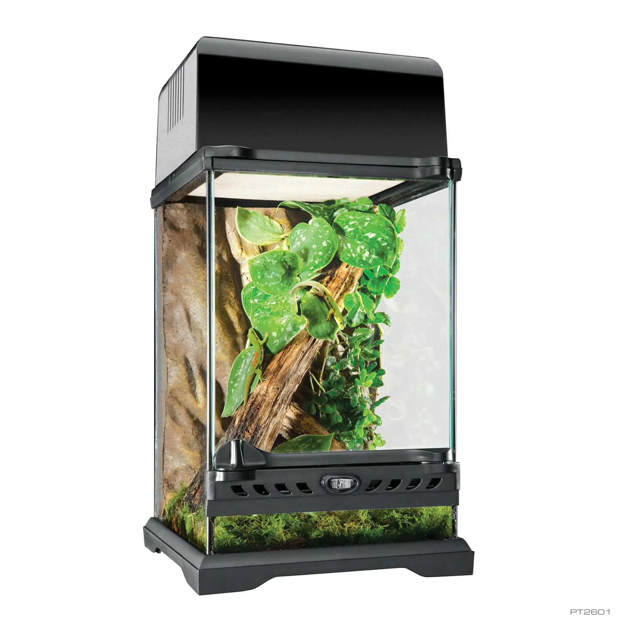 Exo Terra Natural Terrarium Nano Tall 20 x 20 x 30 cm – Emirates pet food