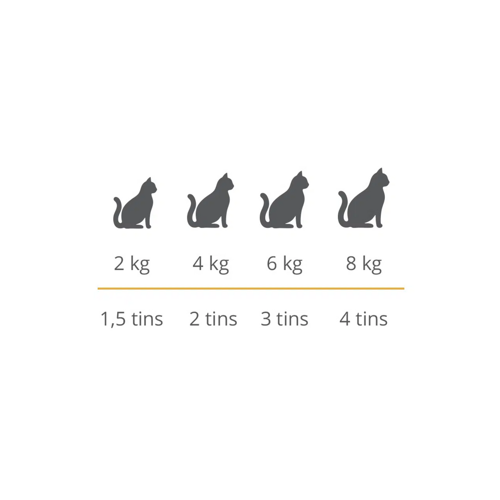 Catit Cuisine Chicken Fillet with Prawns, 12 x 75 g