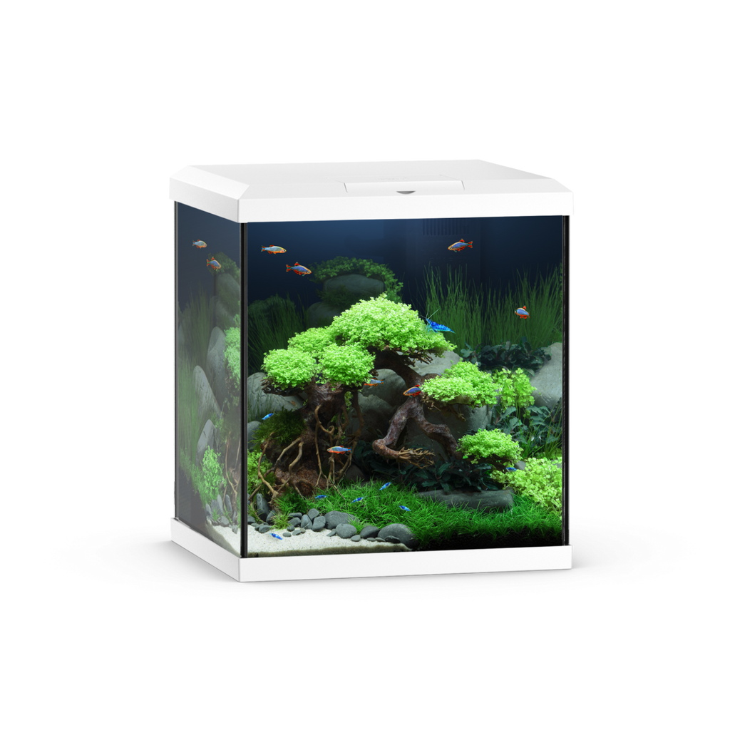 Vio Cube