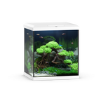Vio Cube