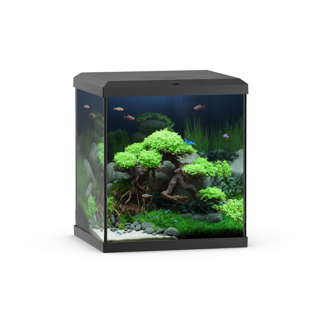 Vio Cube