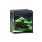 Vio Cube