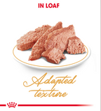 Royal Canin Feline Breed Nutrition Persian (Wet Food - Pouches) 12 x 85 g - Pack of 12