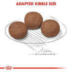 Size Health Nutrition Medium Puppy 10 kg