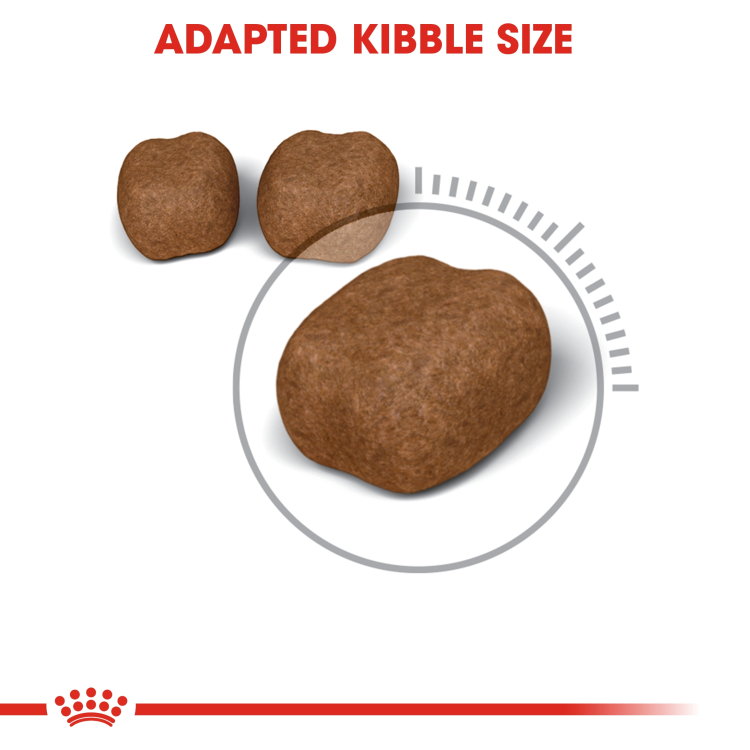 Feline Care Nutrition Dental Care 1.5 kg