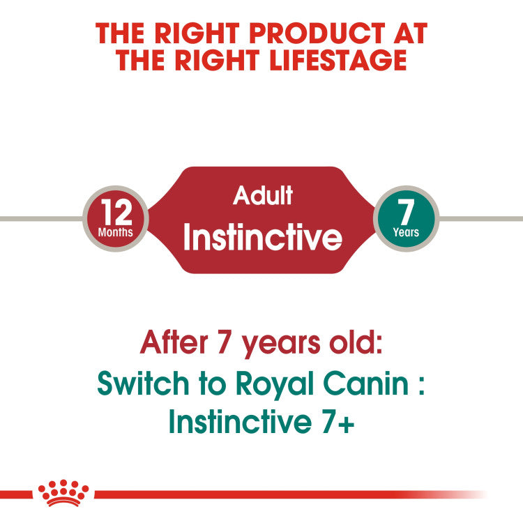 Royal Canin Feline Health Nutrition Instinctive Adult Cats Jelly (Wet Food - Pouches) 12 x 85 g - Pack of 12
