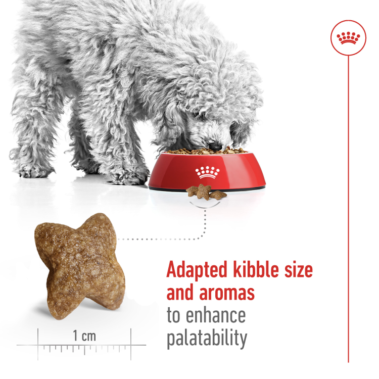 Size Health Nutrition Mini Adult 4 kg