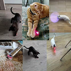 5-in-1 Cat Laser Toy for Interactive Play