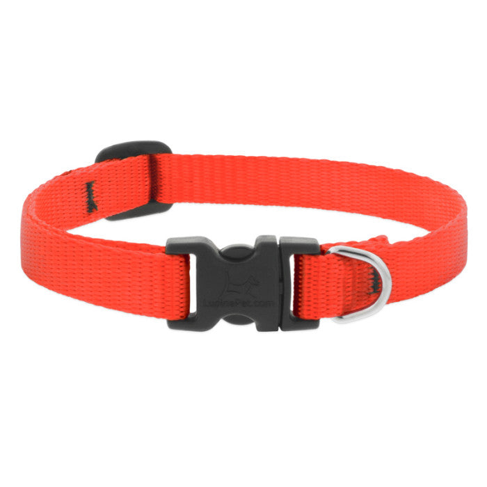 BASICS Adjustable Collar ORANGE 1/2″ FOR SMALL DOGS — 6"-9"