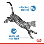 Royal Canin Indoor Sterilised In Gravy Cat Wet Food 85G - Pack of 12