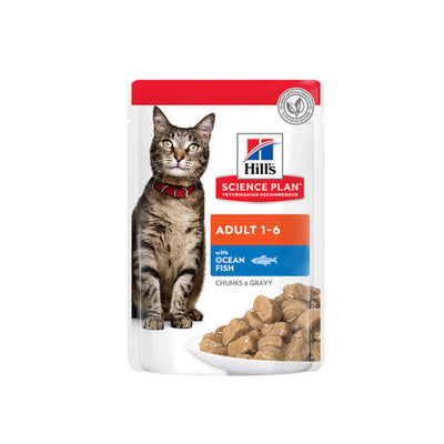 Cat Food & Nutrition