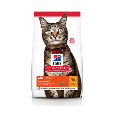 Cat Dry Food