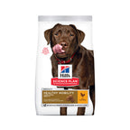 Hill's Science Plan Healthy Mobility Large Breed Adult Dog Food With Chicken (14kg)
