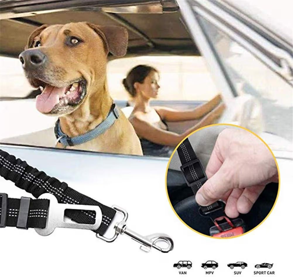 Cozy Paws Reflective Adjustable Dog Seat Belt with Shock Absorber