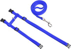 Cozy Paws Adjustable Cat Harness With Leash - Blue