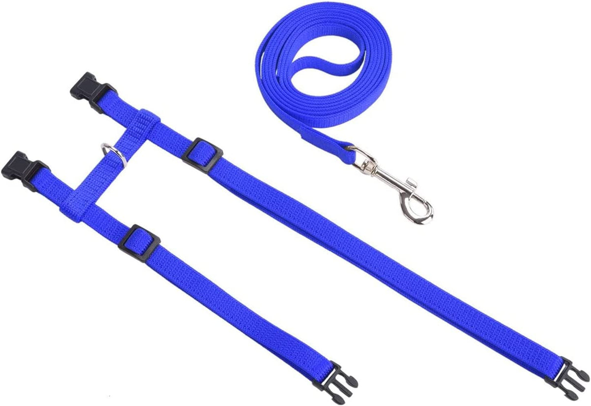Cozy Paws Adjustable Cat Harness With Leash - Blue