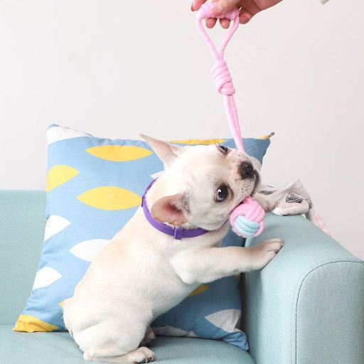 Pets Club Knot Rope Ball Dog Toy Pink