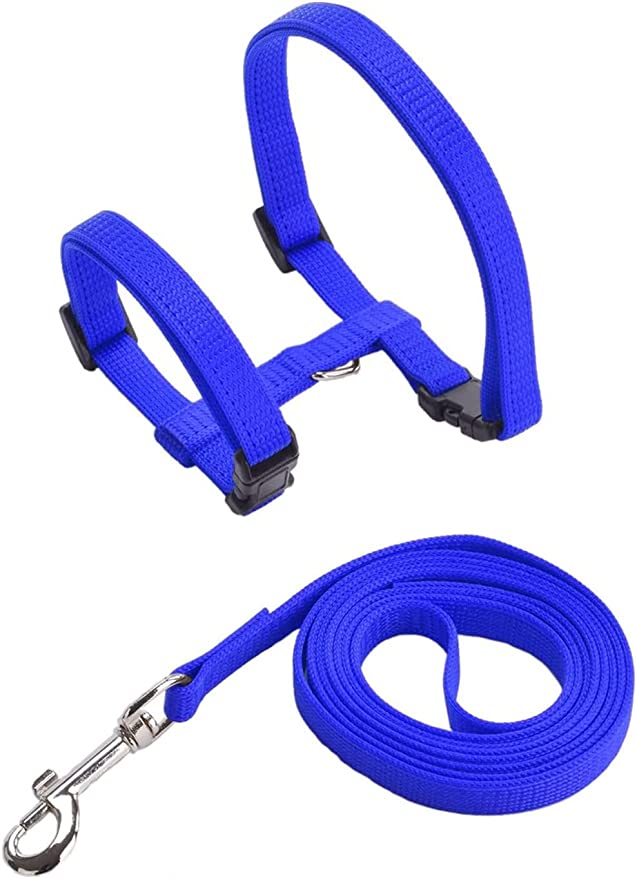 Cozy Paws Adjustable Cat Harness With Leash - Blue