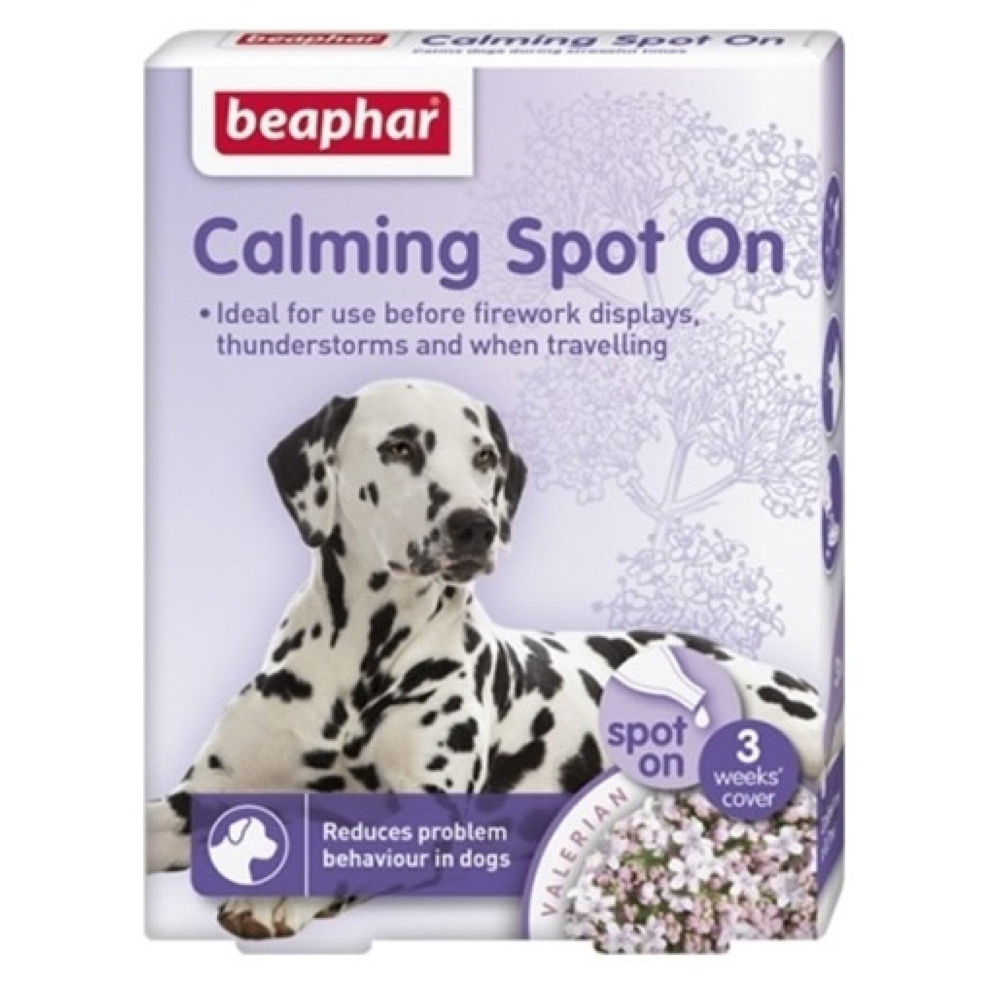 Calming Spot on Dog