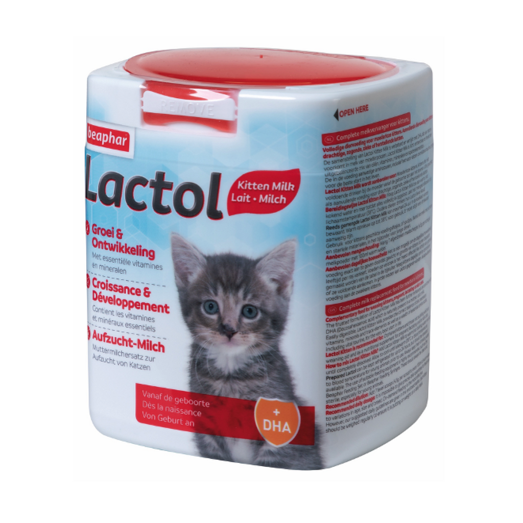Lactol Kitten