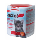 Lactol Kitten
