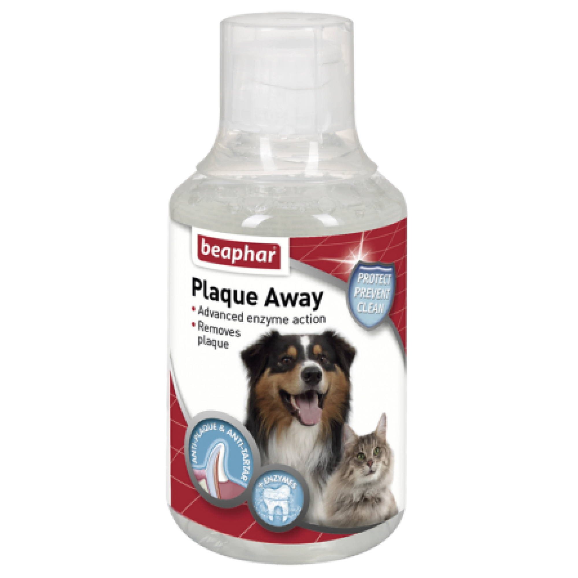 Mouth Wash 250 ml