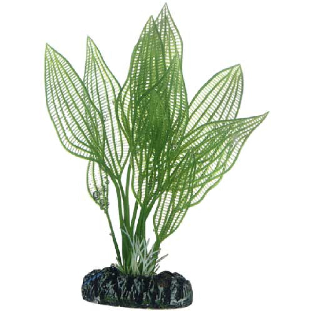 Artificial Plant - Aponogeton