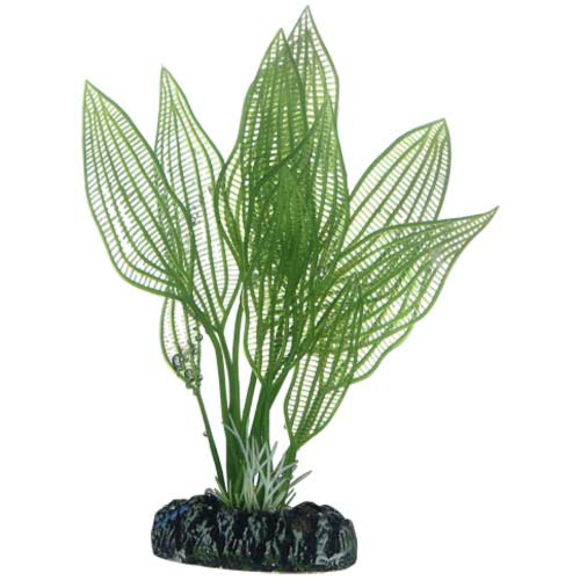 Artificial Plant - Aponogeton