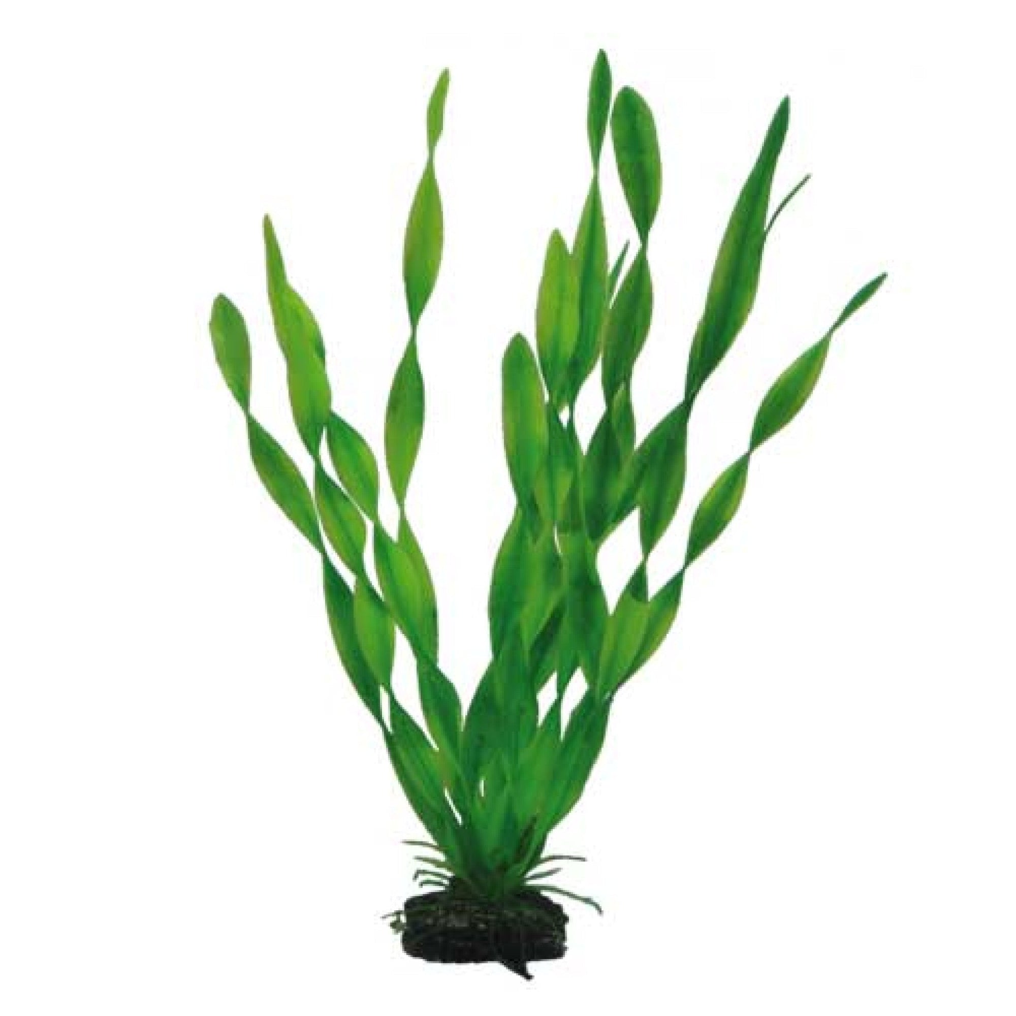 Artificial Plant - Vallisneria