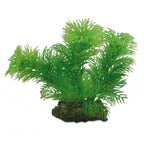 Artificial Plant - Egeria