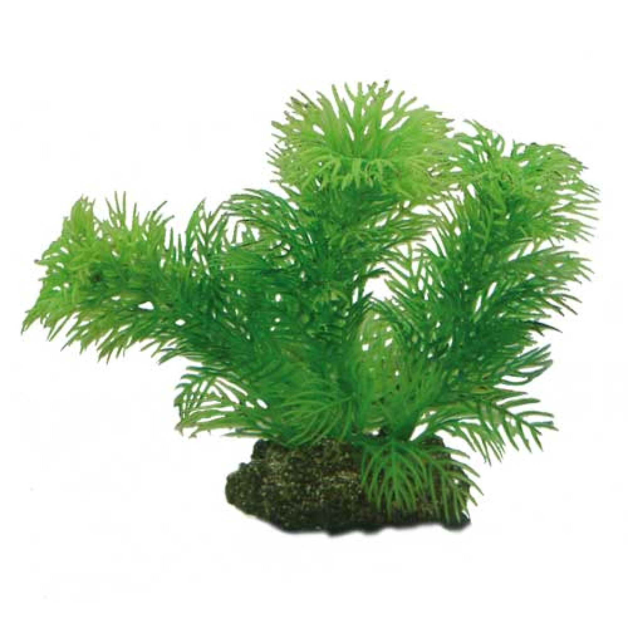 Artificial Plant - Egeria