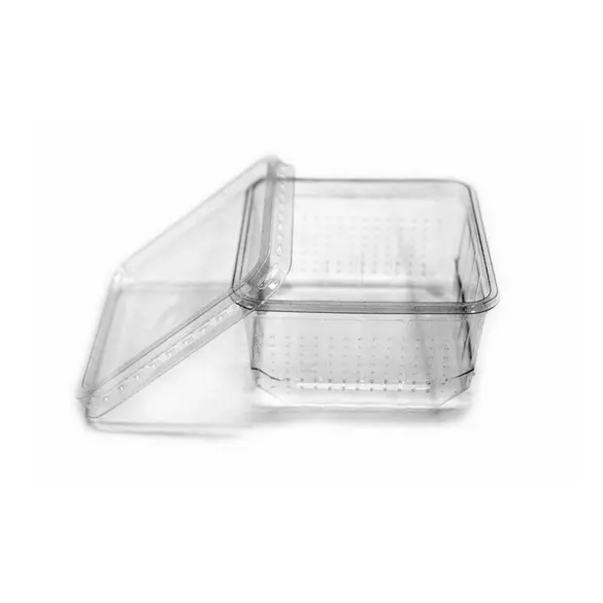 Cricket PET Breeding Box – Emirates pet food