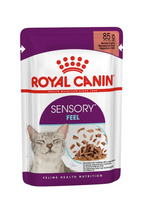 Royal Canin Feline Health Nutrition Sensory Feel Gravy Cat Wet Food 85G - Pack of 12