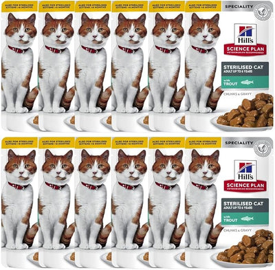 Cat Food & Nutrition