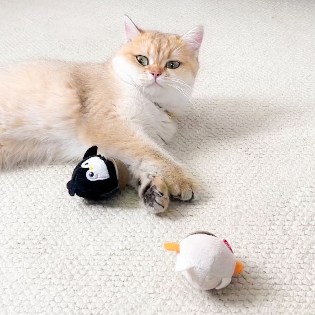 GiGwi Hemispherical Tumbler Toy with Catnip – Owl