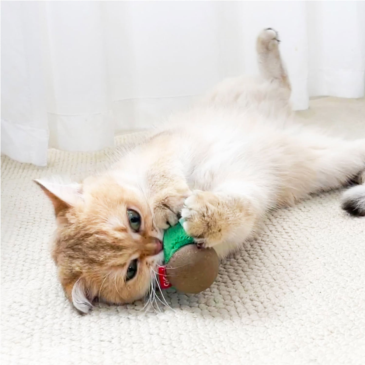 GiGwi Hemispherical Tumbler Toy with Catnip – Frog