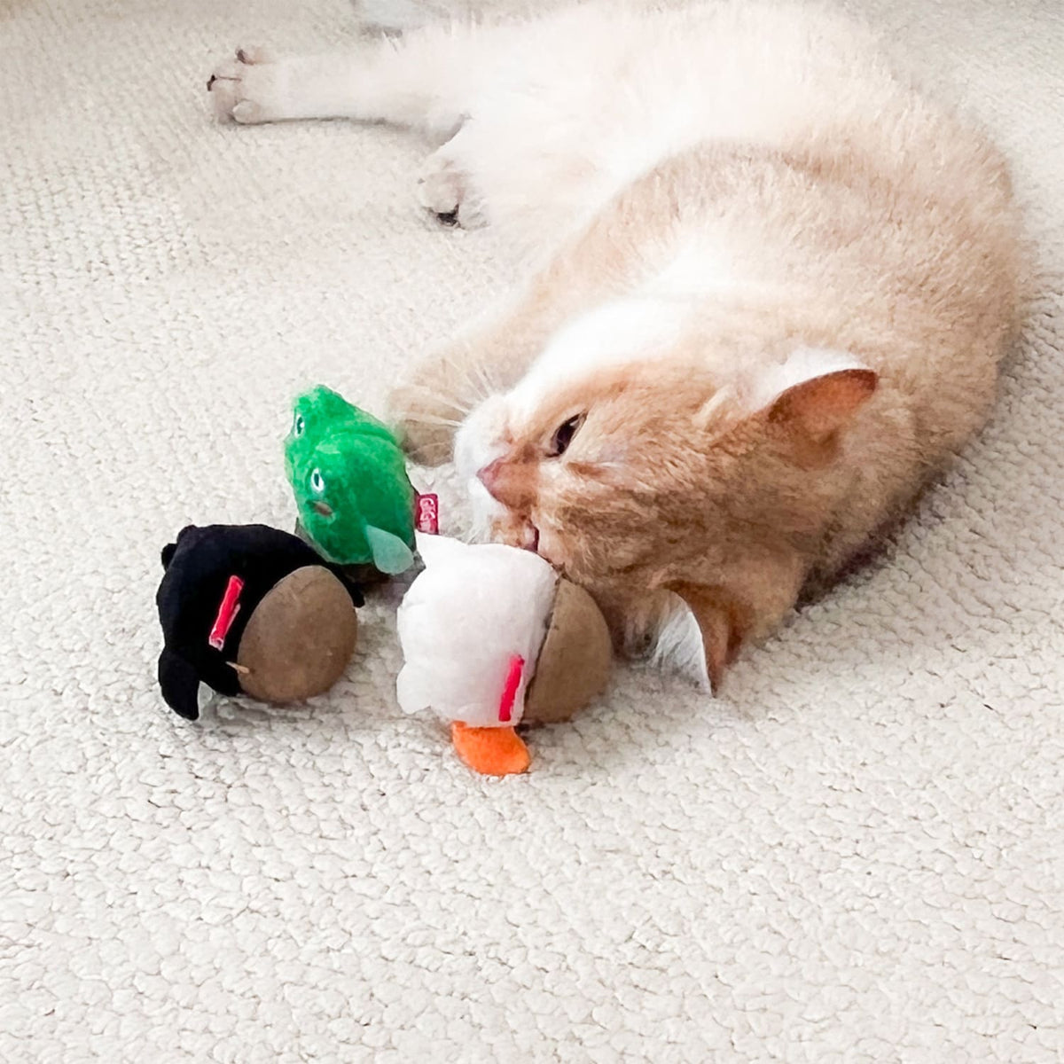 GiGwi Hemispherical Tumbler Toy with Catnip – Penguin