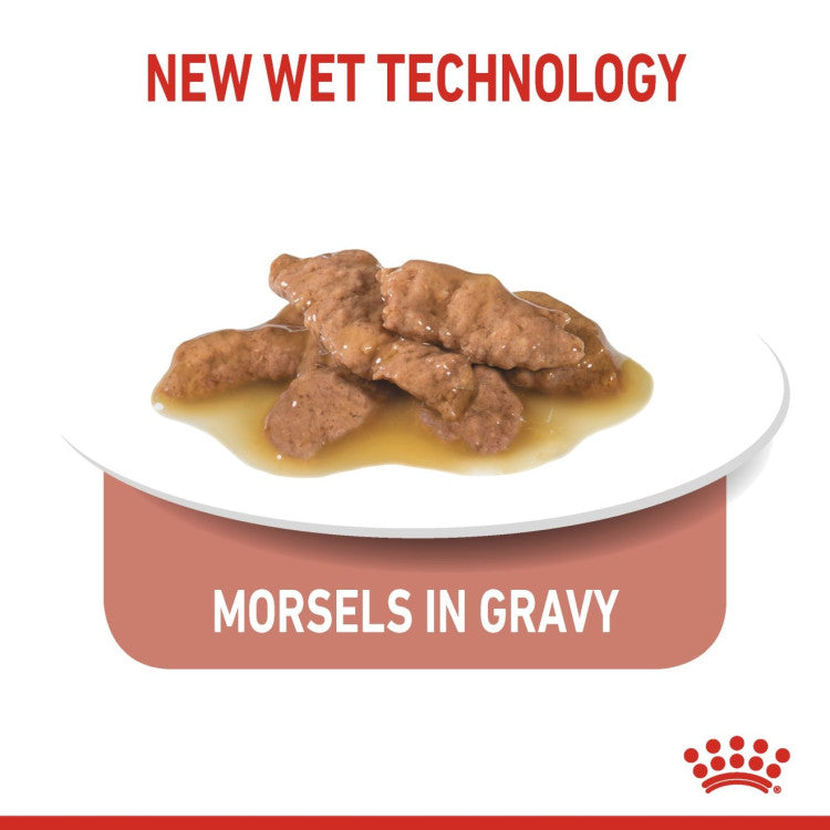 Royal Canin Indoor Sterilised 7+ in Chunks In Gravy Cat Wet Food 12 x 85 g - Pack of 12