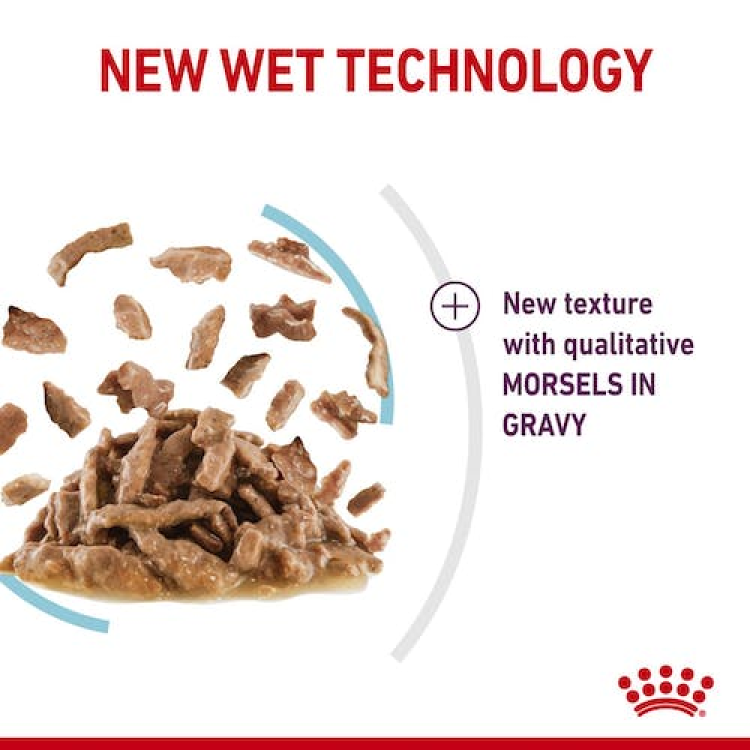 Royal Canin Feline Health Nutrition Sensory Feel Gravy Cat Wet Food 85G - Pack of 12