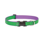 LupinePet 1/2″ (Width)  8-12″(Neck) Adjustable Collar for Small Dogs – Augusta Green